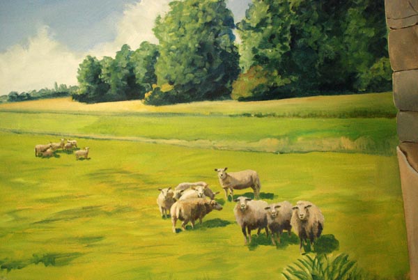 schapen muurschildering